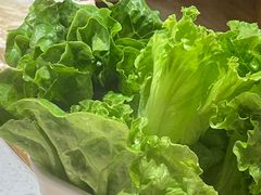 -颐辰舍岁岁羊(文昌万达景园店)