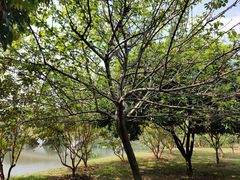 -中国移动南方基地