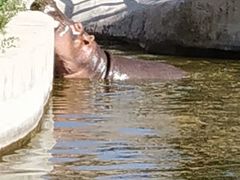 -新疆天山野生动物园