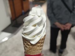 -蜜雪冰城(乐松店)