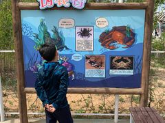 -渔岛海洋度假区