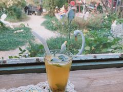 -荒度咖啡(北九水店)
