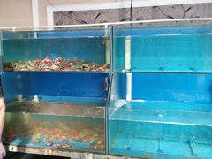 -海鲜皇宫(景泰翰林店)