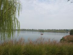 黄酒-吕家米皮