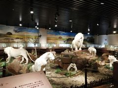 -陕西自然博物馆