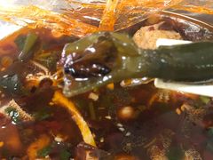-DaLongYi Hotpot - 大龙燚火锅 - 地道四川老火锅
