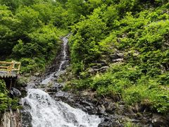 -凤凰山国家森林公园