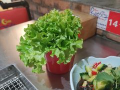 -马路牙子烧烤音乐酒馆(望京店)
