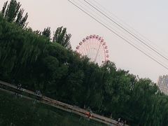 -青城公园