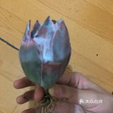 广寒宫 广寒宫 挺美丽的广寒宫