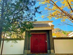 -阳台山自然风景区