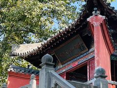 -洛阳白马寺