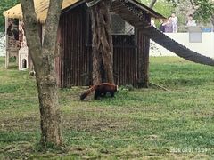 -合肥野生动物园