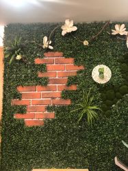 点击看大图 -SKIN79皮肤管理中心