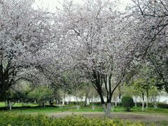 -沙市市中山公园