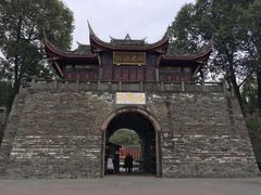 -桂湖森林公园