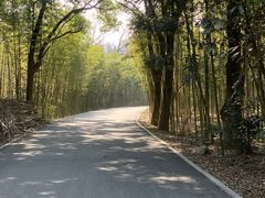 -香满阁小炒(古堰画乡景区店)