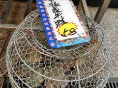 -轩记海鲜餐厅·四十五年老字号·经典粤菜(西区彩虹店)