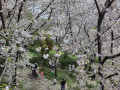 -苏州上方山国家森林公园