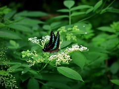 -南山风景名胜区