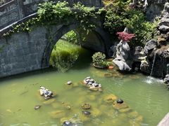 -天目山大树王景区