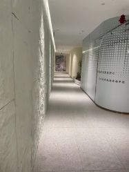 点击看大图 -碧莲盛·脱发养发中心