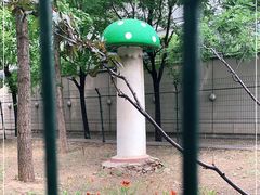 -日本大使馆-新闻文化中心