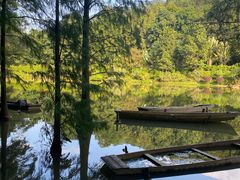 -深圳仙湖植物园
