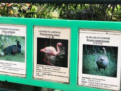 -九龙公园