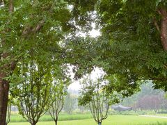 -大望京公园