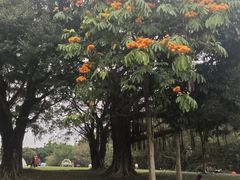 -南宁南湖公园