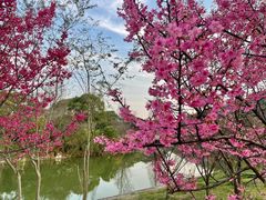 -苏州上方山国家森林公园