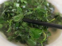 时令野菜-梦缘水乡·湖景餐厅