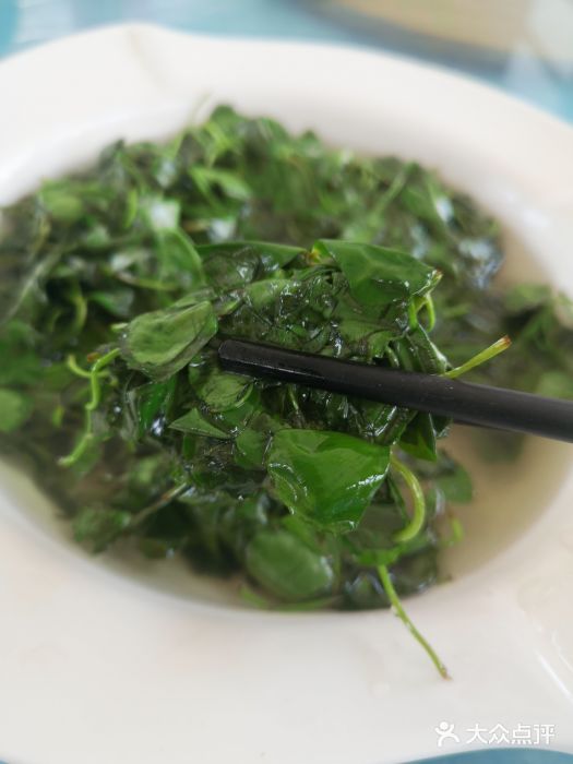 梦缘水乡·湖景餐厅时令野菜图片