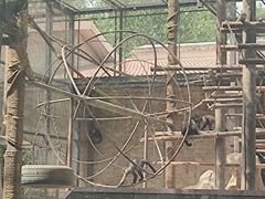 -辛玛王国游乐园