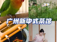 -小茶闲舍·观景商务茶馆(广州塔店)