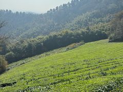-敬亭山风景名胜区