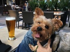 -Shanghai Brew House上海啤酒工坊(老外街店)