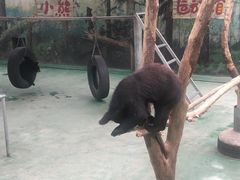 -西安秦岭野生动物园