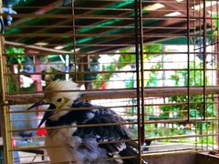 -铁炉农家菜馆