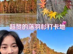 -上海海湾国家森林公园