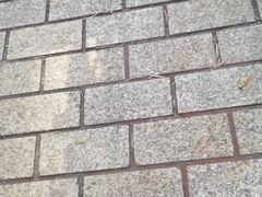 -中国移动(南京西路营业厅)