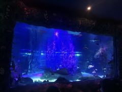 -沈阳海洋探索中心