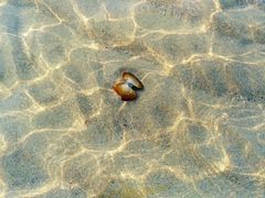 -那香海钻石沙滩浴场