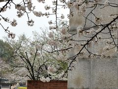 -幕燕滨江·长江观音景区