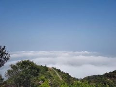 -梧桐山风景名胜区