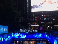 -盒马鲜生(杭州运河上街店)