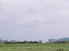 -光明小镇欢乐田园