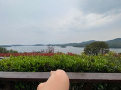 -天目湖涵田半山温泉