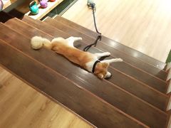 -YCHL Studios健身工作室(市二宫店)